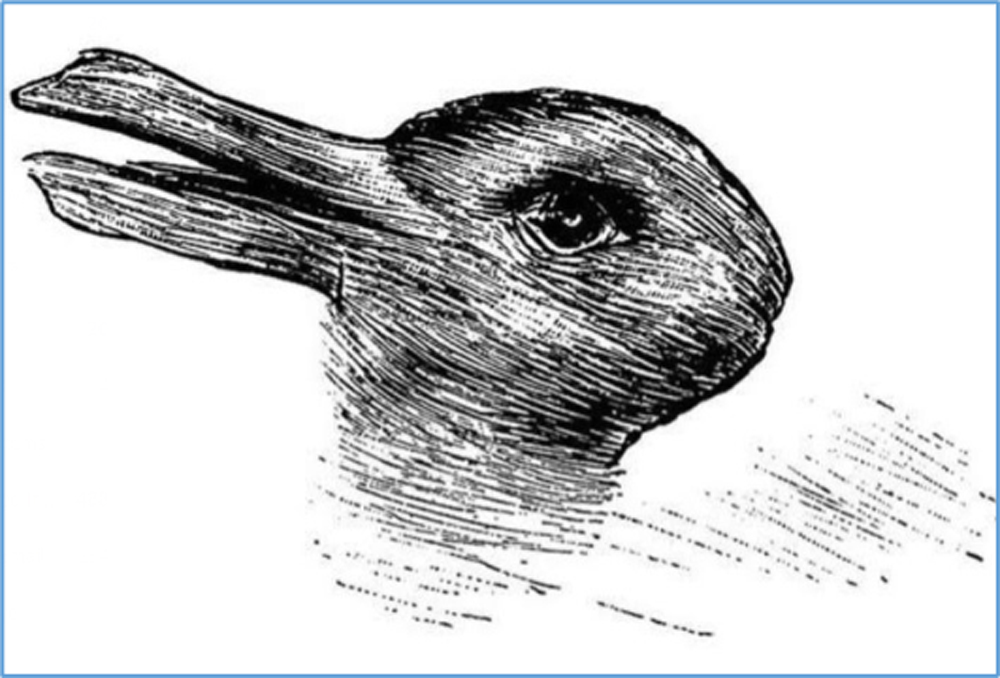 Rabbit / duck